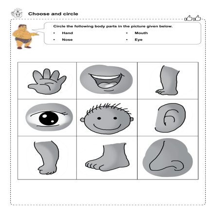 Body Parts Worksheet Body Part Matching Worksheet | TPT